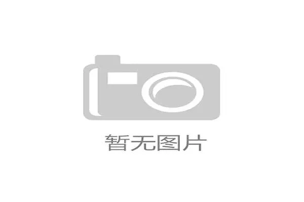 战术黑洞：战略思维的“暗物质”如何改变你的竞争格局